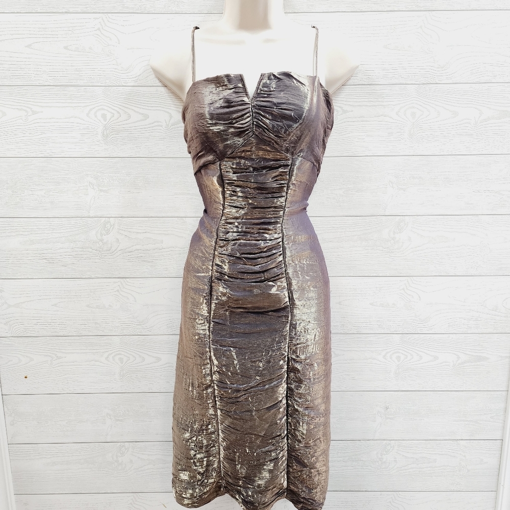 Adrianna Papell Sexy Cocktail Dress